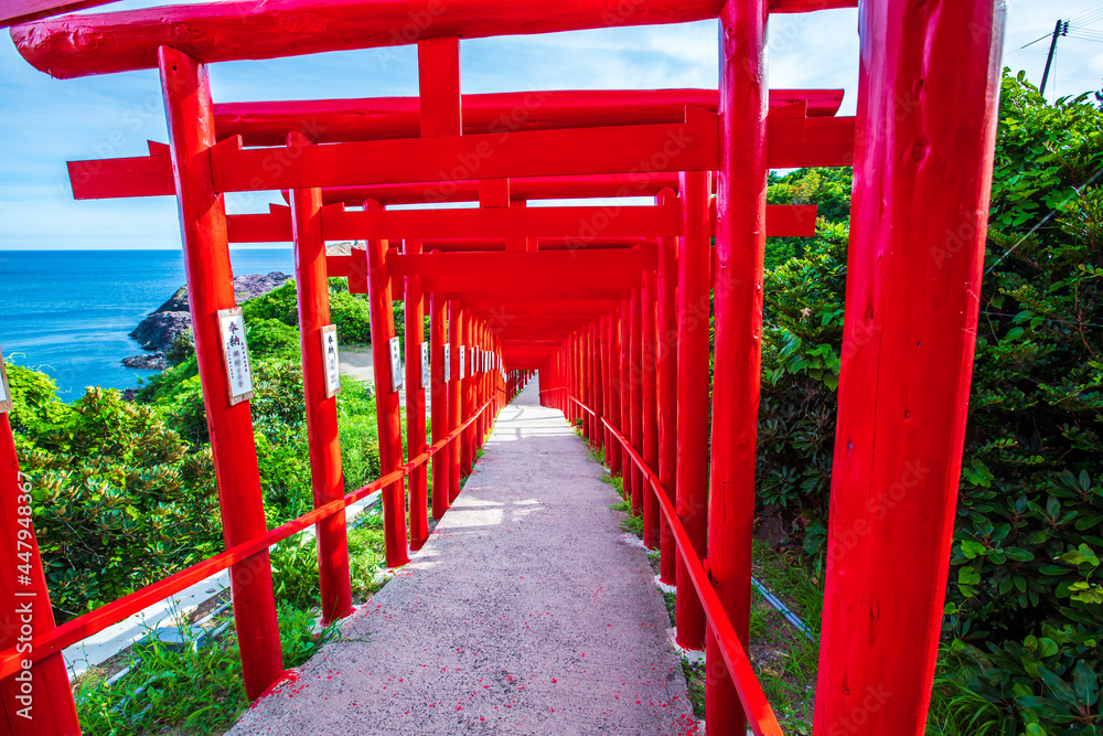 山口県 元乃隅稲成神社 山口県 元乃隅稲成神社