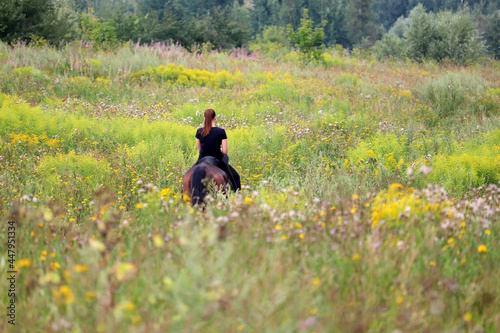 Young woman rides a horse through a summer field overgrown with flowers. Rural scene, horseback riding © Oleg