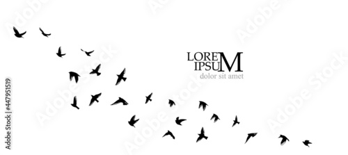 A flock of flying birds. Vector illustration