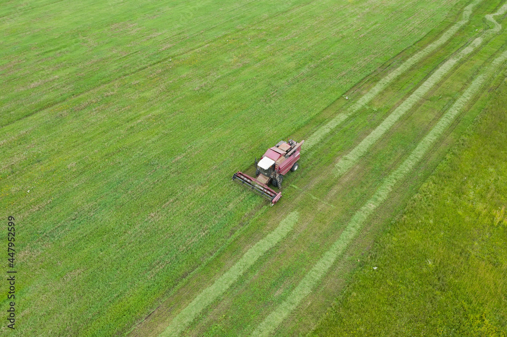 Aerial view of one harvester which reaps green grass. Agricultural machines in the field. Seasonal works in farmland.