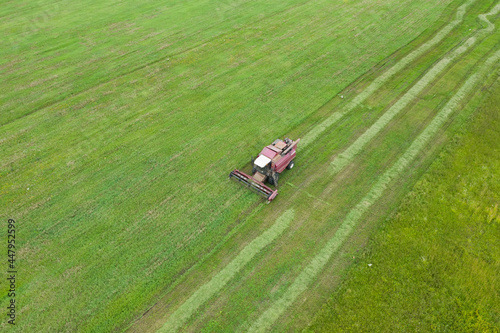 Obraz na płótnie Aerial view of one harvester which reaps green grass. Agricultural machines in the field. Seasonal works in farmland. w salonie