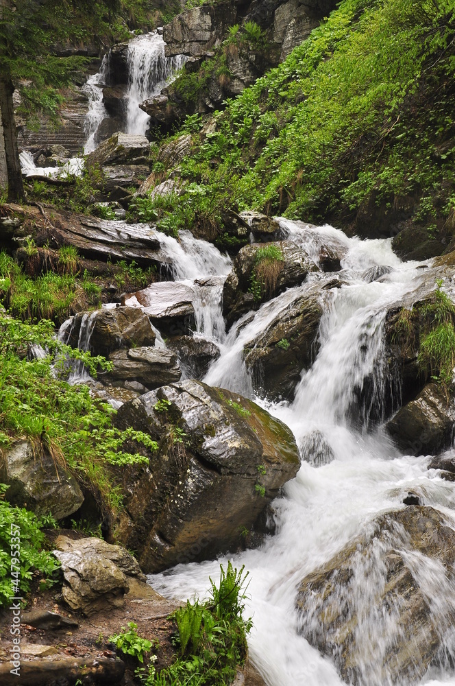 Mountain waterfall flowing through the forest. Mountain waterfall flowing through the forest.