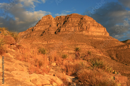 фотографія The Sacramento Mountains from inside of Oliver Lee State Park, New Mexico