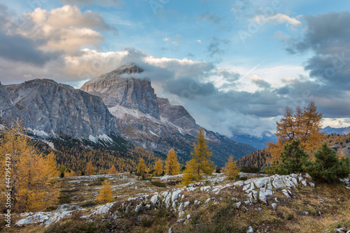 Fototapeta Naklejka Na Ścianę i Meble -  Beautiful autumn view Tofana di Rozes mountain with yellow larch trees on foreground. Dolomite Alps near Falzarego Pass.