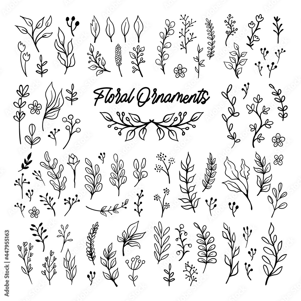 Fototapeta premium Floral graphic elements big vector doodle set. Flowers and plants hand drawn illustrations. Branches and leaves.