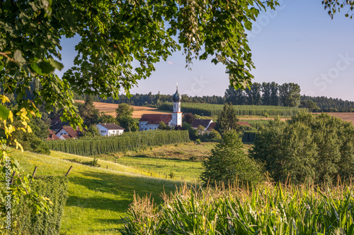 Kirche in der Hallertau umgeben von Hopfen in Lohwinden Bayern photo