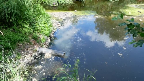 Poultry farm dumps waste into the river.
Beautiful river and water turn into a swamp, where the waste of the chickens and their corpses are discharged. Ecological catastrophy.