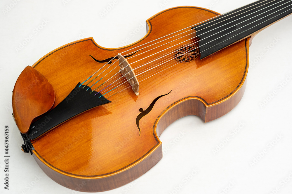 beautiful viola d'amore on white background beautiful viola d'amore on white background