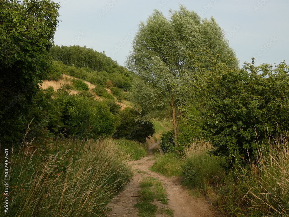 Dirt road between meadows, hills and green trees, Gdańsk, Poland Dirt road between meadows, hills and green trees, Gdańsk, Poland