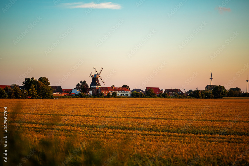 Fototapeta premium beautiful landscape at sunset. mill in the field.