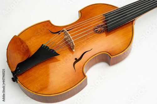 Rare beautiful viola d'amore