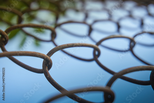 Mesh rabitsa. Soft selective focus, background. Textured, close-up mesh rabitsa photo