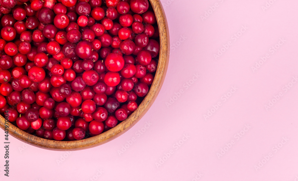 Bowl of fresh cranberry on pink background, horizontal, copy space, top view Bowl of fresh cranberry on pink background, horizontal, copy space, top view