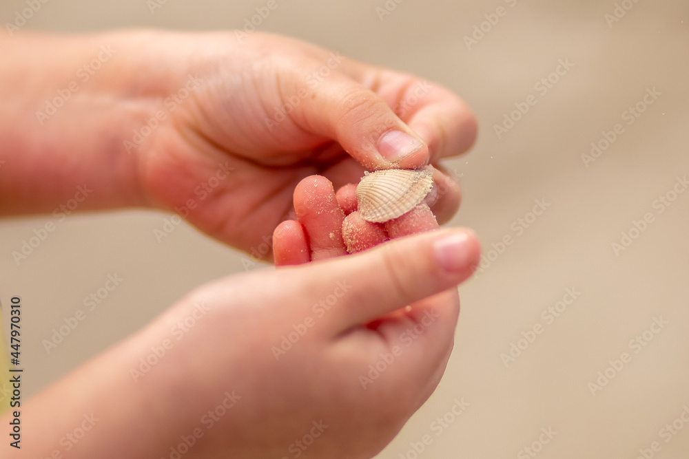 Girl's hands hold a seashell on the beach close-up. Girl's hands hold a seashell on the beach close-up.