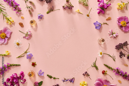 Summer background with essential oils  frankincense  herbs and flowers