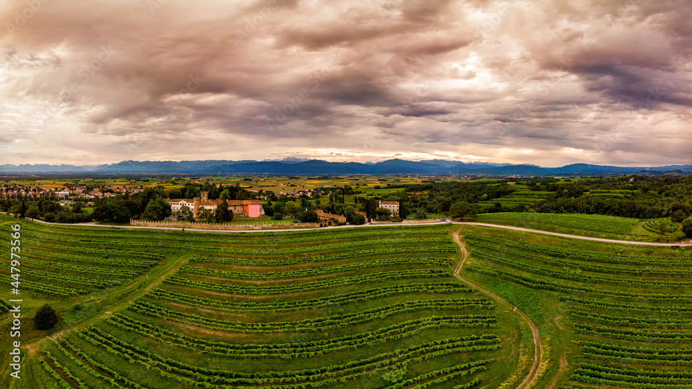 Panoramic view of vineyards and castle in Buttrio, Udine, Friuli, Italy