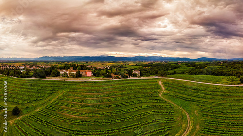 Panoramic view of vineyards and castle in Buttrio  Udine  Friuli  Italy