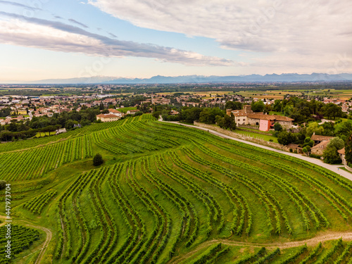 Panoramic view of vineyards and castle in Buttrio, Udine, Friuli, Italy