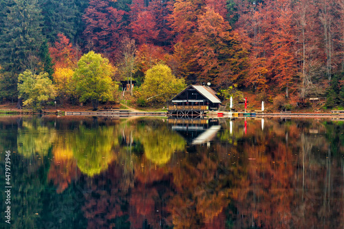 Autumn foliage in Fusine lakes natural park, Friuli Italy