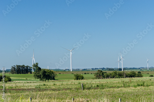 Uruguayan countryside with a windmill farm on the horizon, with a cloudless blue sky photo
