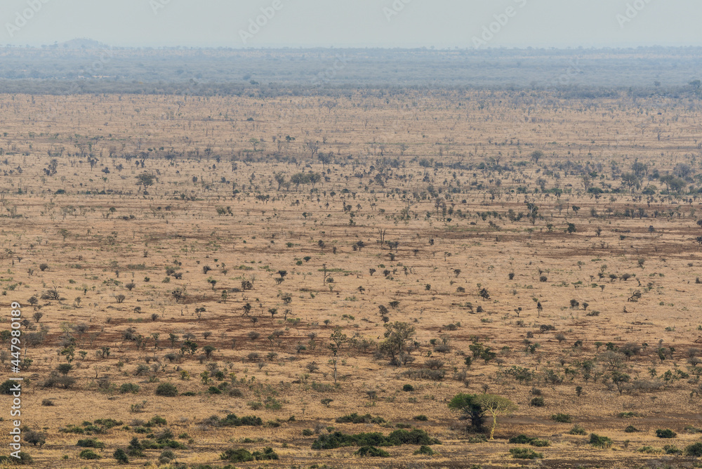 The sweeping plains of southern Kruger National Park, South Africa The sweeping plains of southern Kruger National Park, South Africa