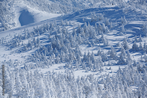 八甲田山の樹氷