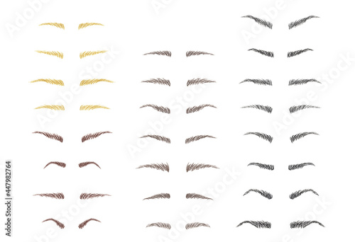 Eyebrow shapes illustration set. Basic eyebrow shape types in black, brown and blond colored.