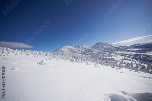 快晴の雪の八甲田連峰 © TSmedstruct