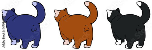 Spotted cat with large testicles. Back view. Black, red and blue cat. 