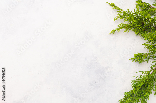 New Year's decoration. Frame and blank space for your text. Minimalism. Green branches of a coniferous tree on a plain white background. There are no people in the photo.
