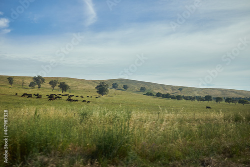 Australian Outback landscape © Jordan