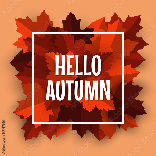 Wallpaper Mural Autumn background with autumn leaves Torontodigital.ca