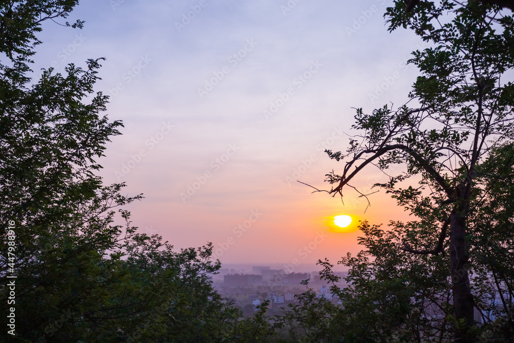 Sunrise through the forest, open sky, city at the backdrop. Sunrise through the forest, open sky, city at the backdrop.