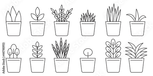 A set of flowerpots. Decoration floral. Spring flower illustration. Vector illustration. Stock image.
