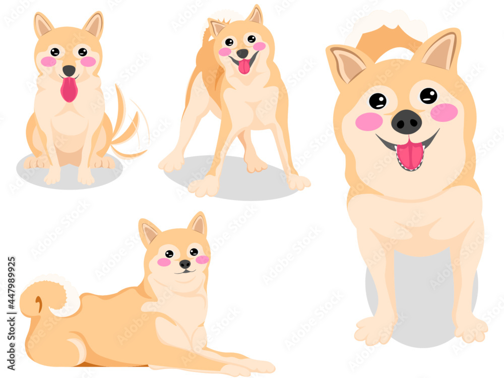 Fototapeta premium 柴犬 犬 セット 素材 イラスト