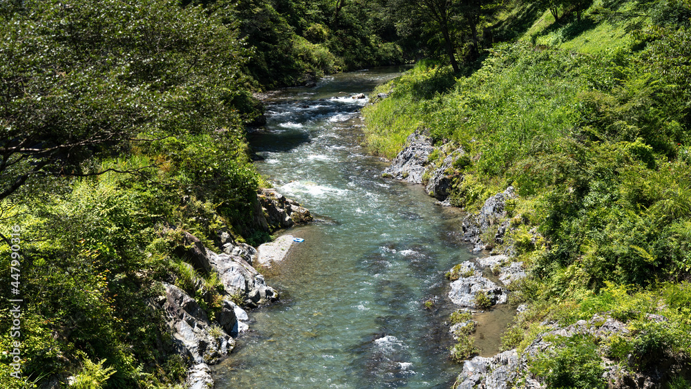 Quiet clear stream in summer Quiet clear stream in summer