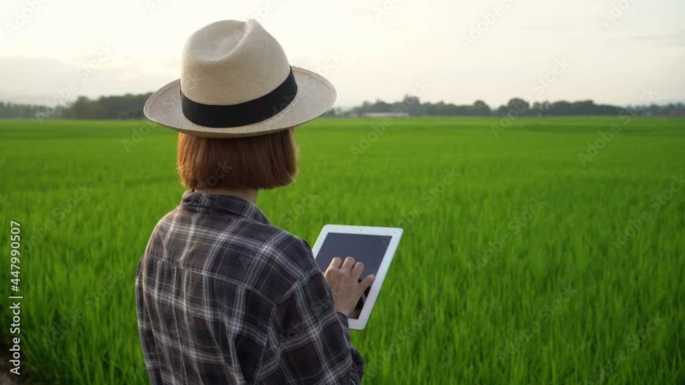 Close-up of Asian female farmer using tablet in her farm agricultural technology concept on a warm light day Close-up of Asian female farmer using tablet in her farm agricultural technology concept on a warm light day