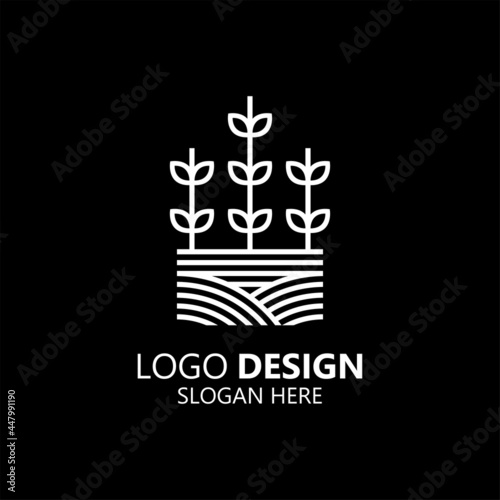 wheat field and agriculture logo design