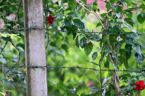 a wire fence separating two lands