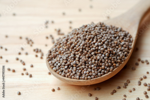 Perilla seeds in a wooden spoon are grains that can be eaten with both seeds and leaves. It can be found in the northern part of Thailand. Popular as an ingredient for appetizers.
