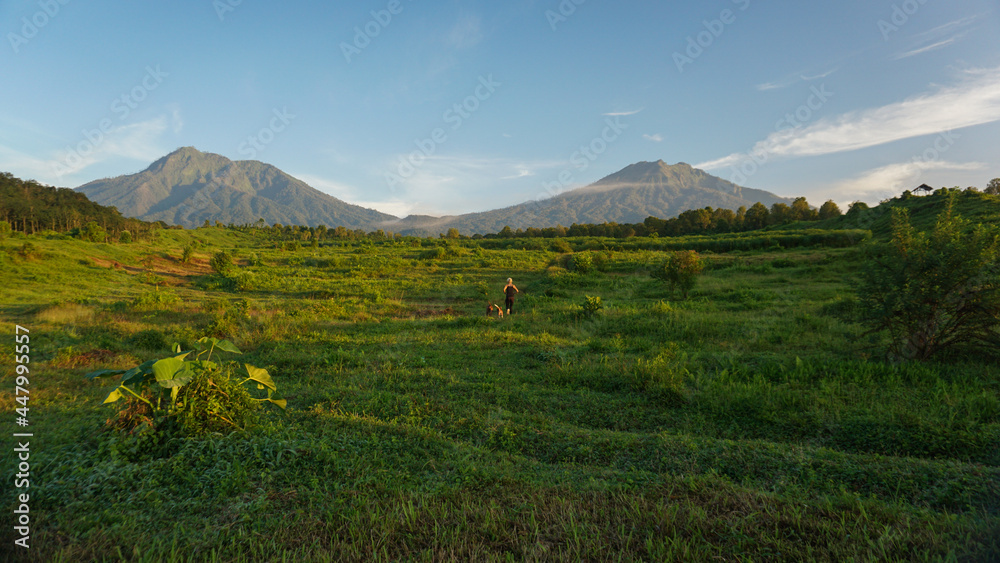 Beautiful Morning around Kalibendo Plantation Banyuwangi Indonesia.