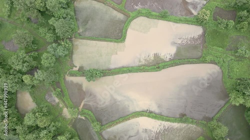 birds eye view top shot drone green mountans and fam rice field in rain at manor maharashtra india . photo