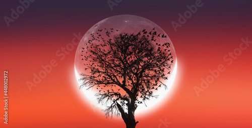 Silhouettes of flying birds in shape of heart with dead tree in the background crescent moon at amazing sunset "Elements of this image furnished by NASA" © muratart
