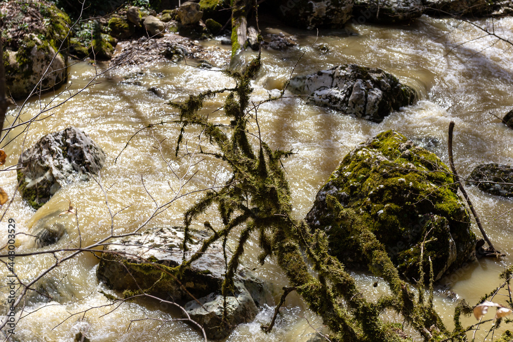 Obraz premium Spring, mountain streams, overflowing with meltwater, turn into impassable sections of water barriers.