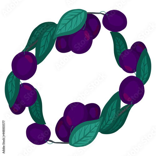Oval frame with plums, foliage, branches and place for text. Natural border with summer fruits and leaves. Vector hand drawn flat round template with berries and copy space. Card and menu