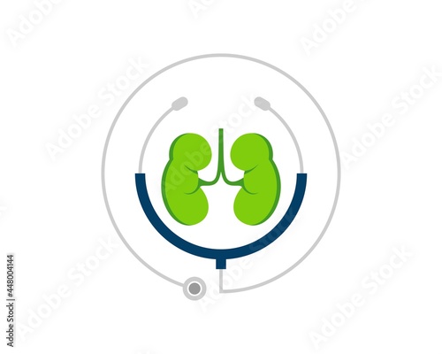 Circular stethoscope with healthy kidney inside