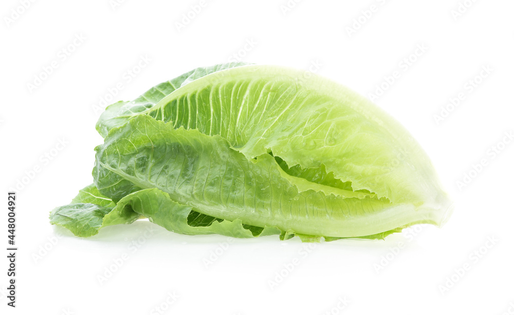 lettuce leaves isolated on white background lettuce leaves isolated on white background