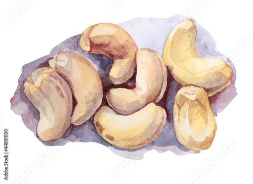 Watercolor hand-drawn cashew nuts isolated on white background. Healthy vegan snacks ingredient for gourmet dessert. Creative clip art for menu, cookbook, card, sticker, wallpaper