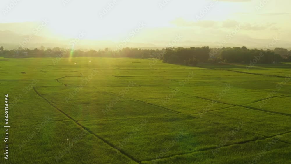 An aerial view of a large rice field near the village. There is a beautiful sun shining in Nan Province, the northern part of Thailand. An aerial view of a large rice field near the village. There is a beautiful sun shining in Nan Province, the northern part of Thailand.