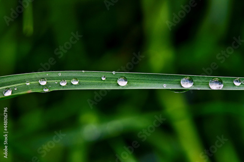 closeup view of water drops on a grass blade